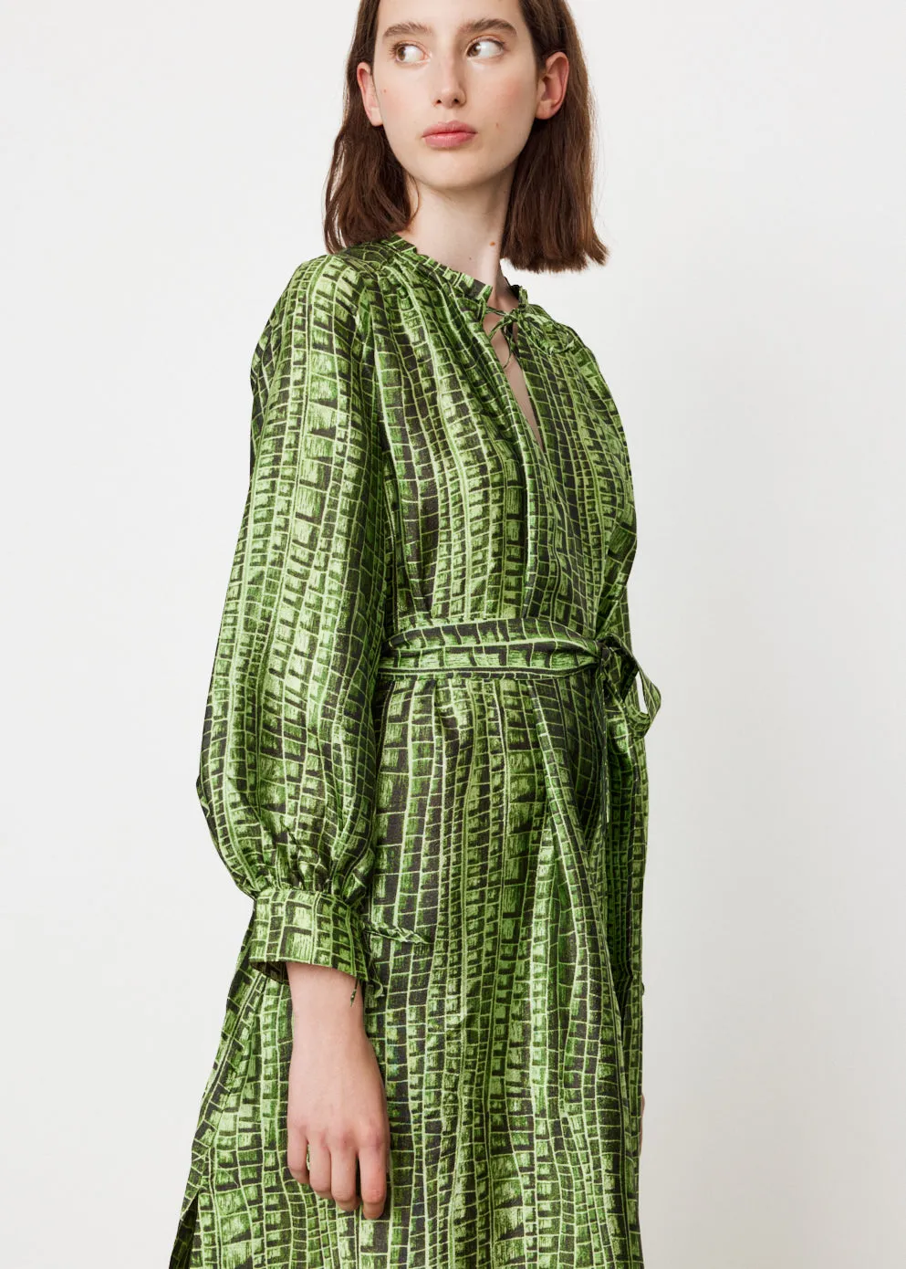 Aradin Dress