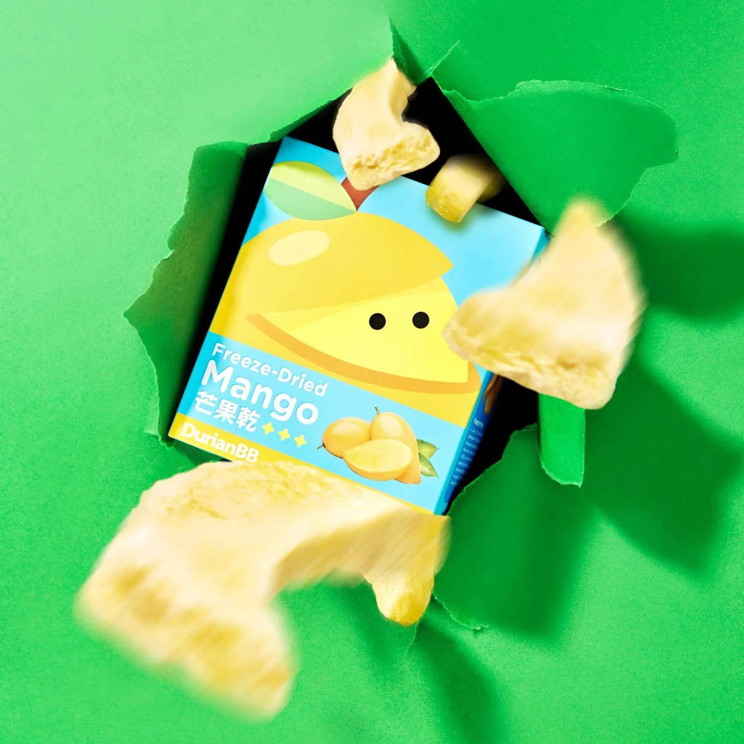 DurianBB Dried Fruits (40g)