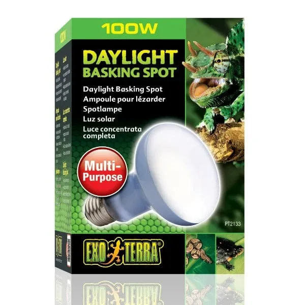 Exo Terra Daylight Basking Spot Lamp