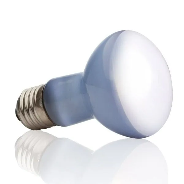 Exo Terra Daylight Basking Spot Lamp