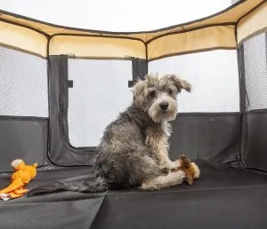 Portable and Collapsible Pet Playpen