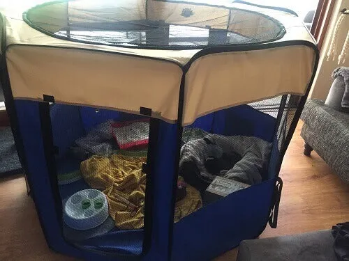 Portable and Collapsible Pet Playpen
