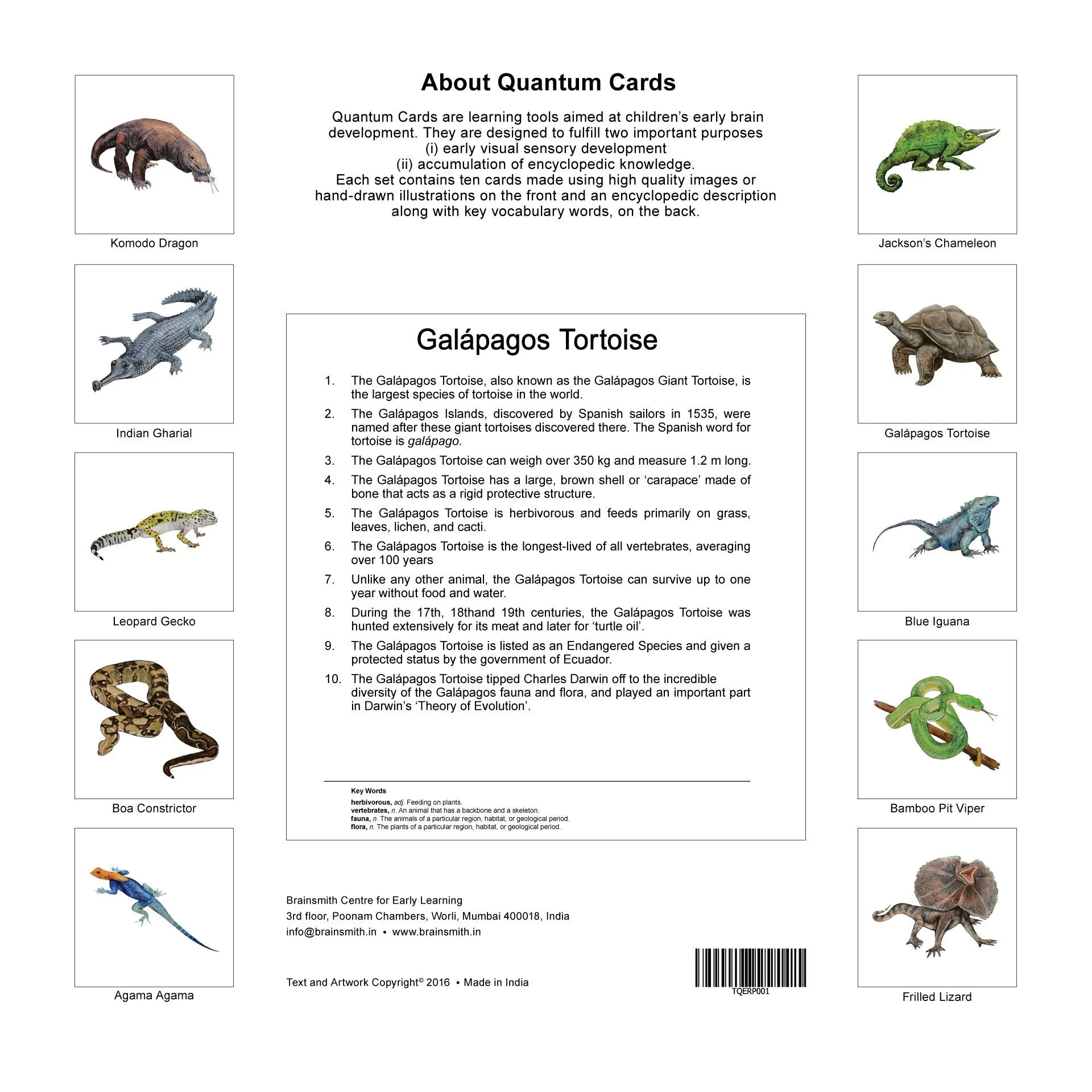 Quantum Cards <br> Reptiles