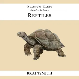 Quantum Cards <br> Reptiles