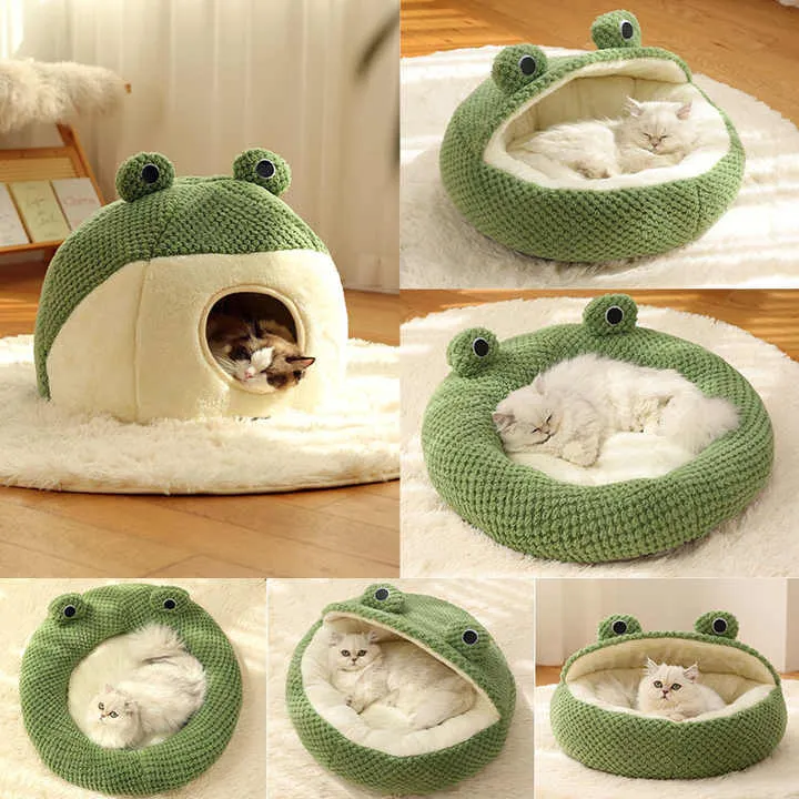 Small Frog Series Autumn Winter-سلسلة الضفادع